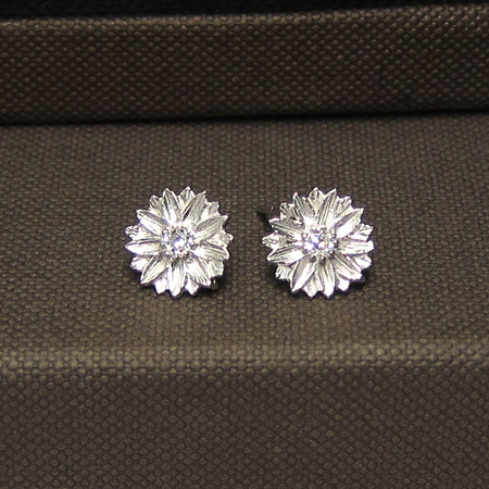 ��ǰ ������