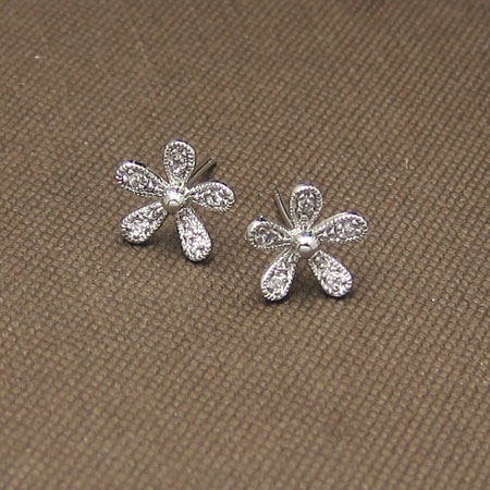 ��ǰ ������