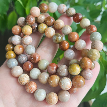 ��ǰ ������