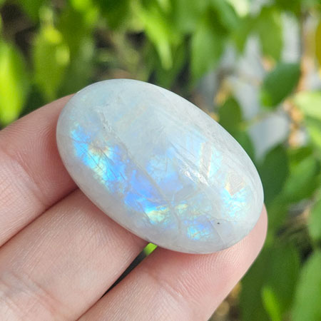 ��ǰ ������